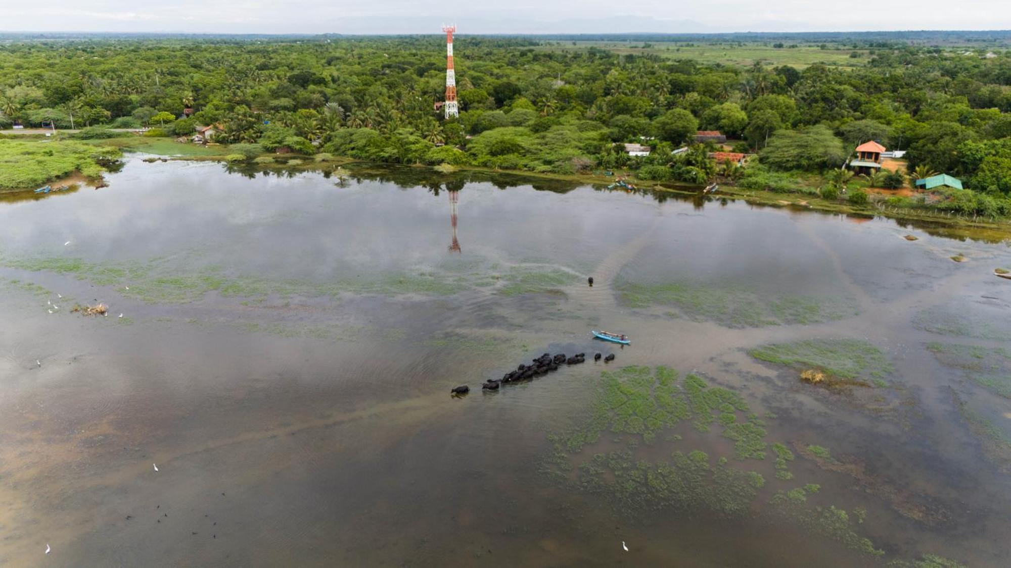 Bundala Flamingo Cotteges Hotel Hambantota Kültér fotó