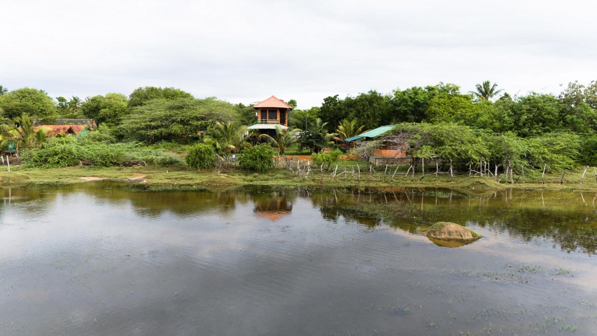 Bundala Flamingo Cotteges Hotel Hambantota Kültér fotó